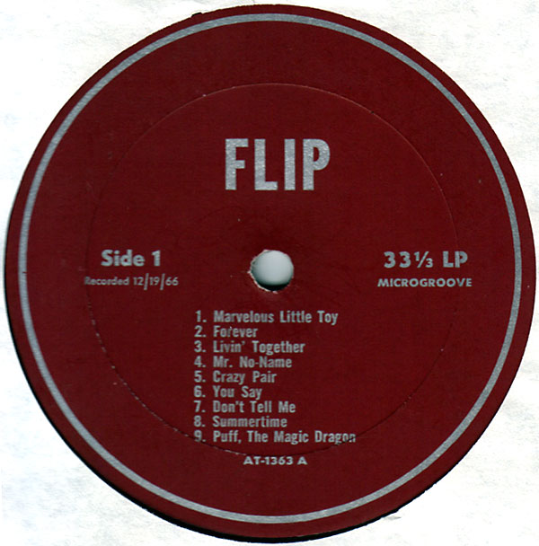 ampnoise records Flip -- Flip