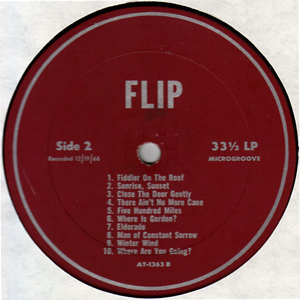 ampnoise records Flip -- Flip