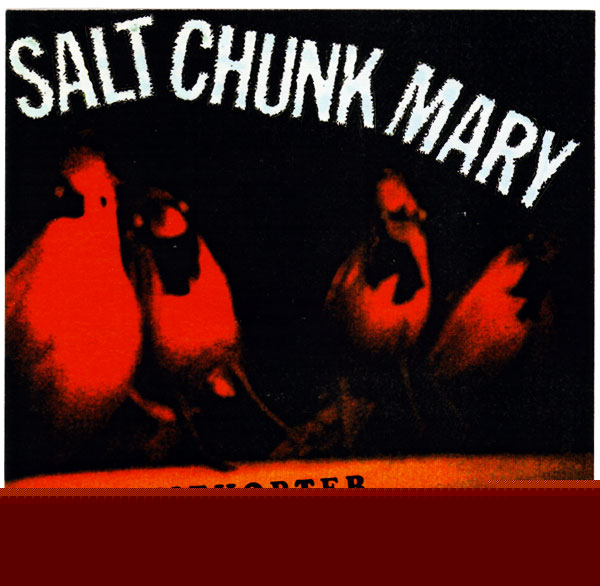 ampnoise records Salt Chunk Mary -- Ornithopter